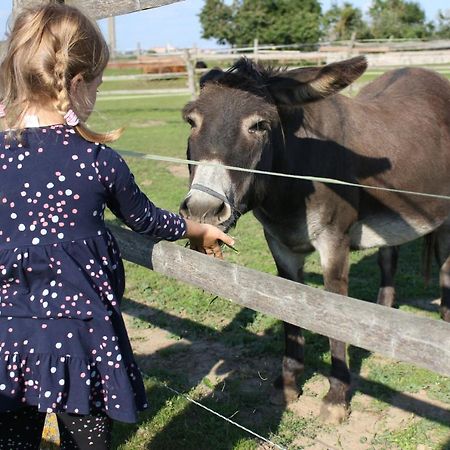 Zoopark Zelcin Villa Mělník Kültér fotó