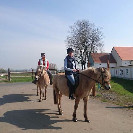 Zoopark Zelcin Villa Mělník Kültér fotó