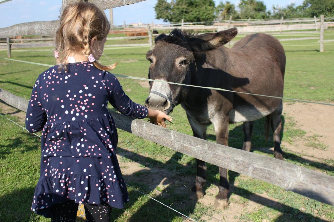 Zoopark Zelcin Villa Mělník Kültér fotó