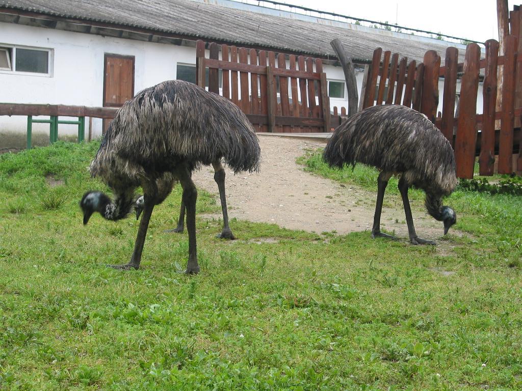 Zoopark Zelcin Villa Mělník Kültér fotó