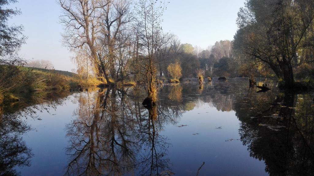 Zoopark Zelcin Villa Mělník Kültér fotó