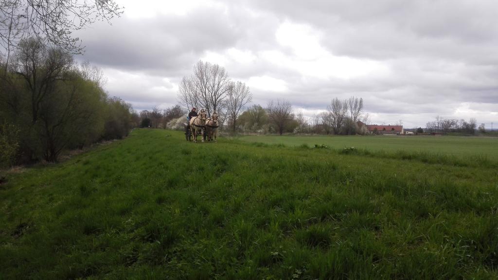 Zoopark Zelcin Villa Mělník Kültér fotó