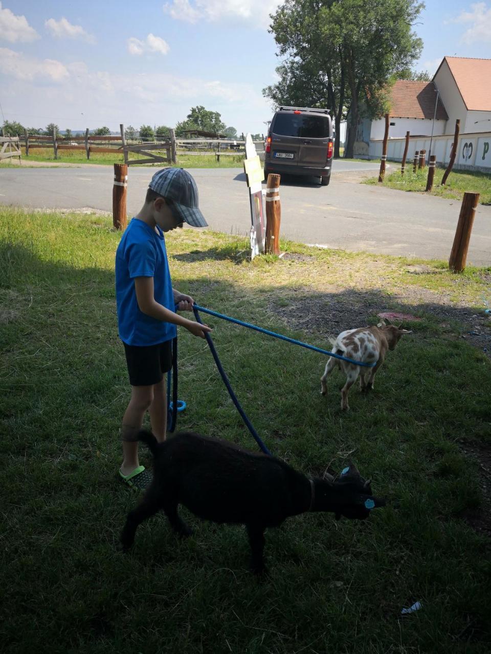Zoopark Zelcin Villa Mělník Kültér fotó