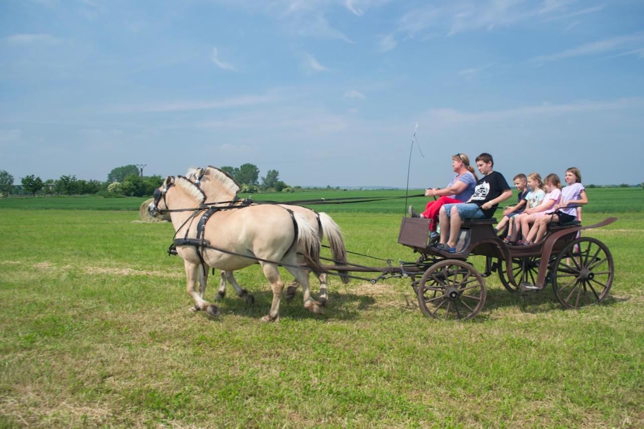 Zoopark Zelcin Villa Mělník Kültér fotó